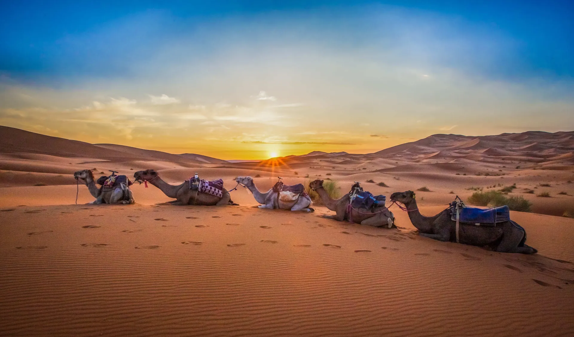 Grand Tour du Maroc – 7 jours